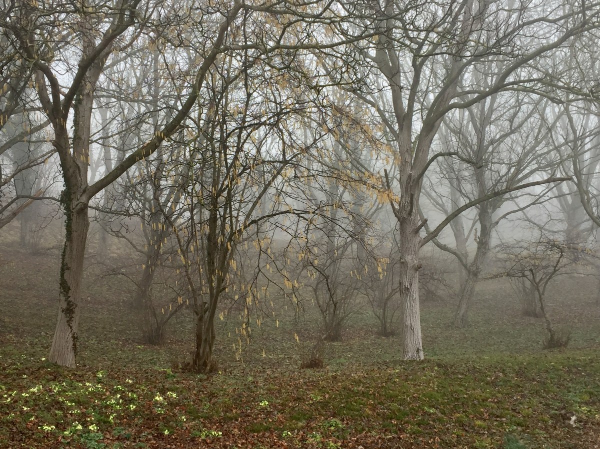 3/2″ and 30 lbs (Samir Sirk Morató)