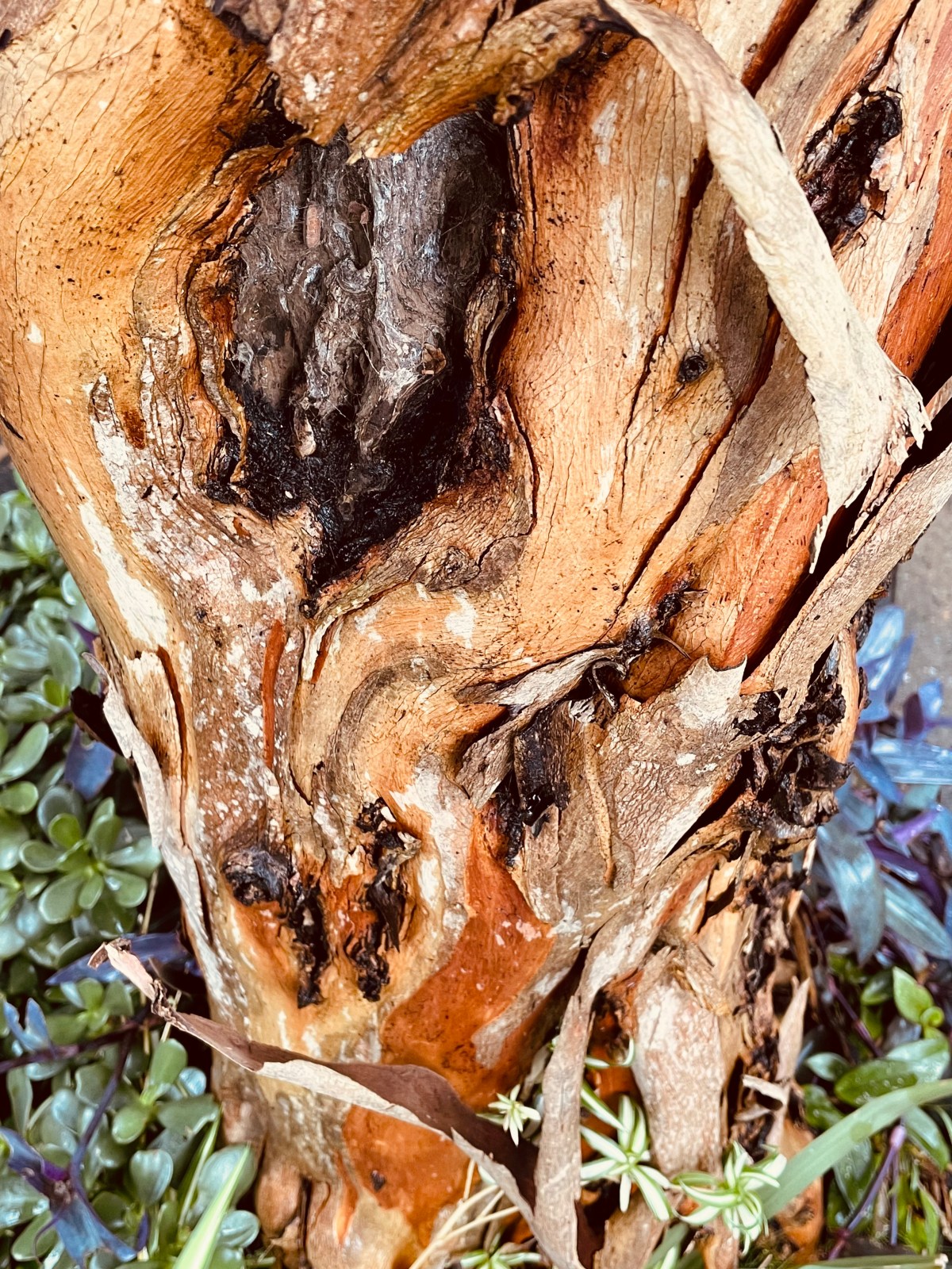 mending mettle (Selena Langer)