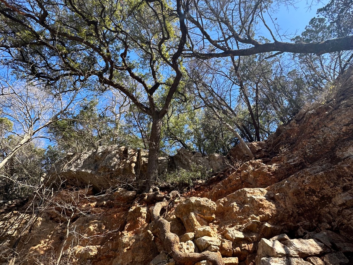 Canyonlands (Alex Gurtis)