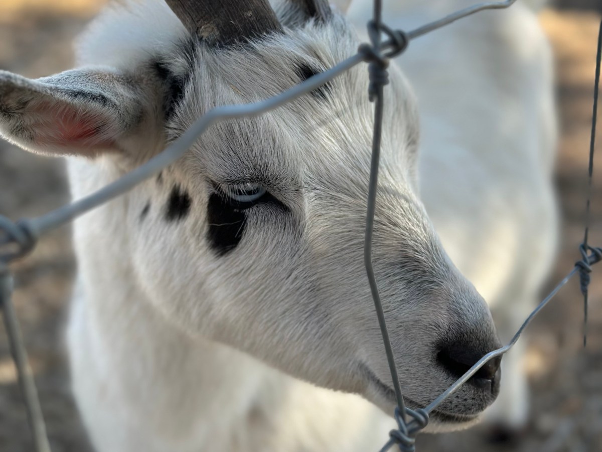 Teamwork (Travis Flatt)