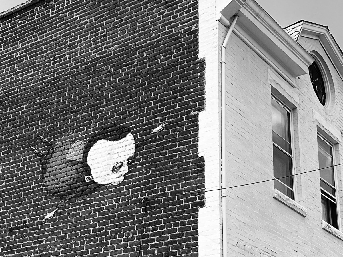 Letter From a Young Poet (Lauren D. Woods)