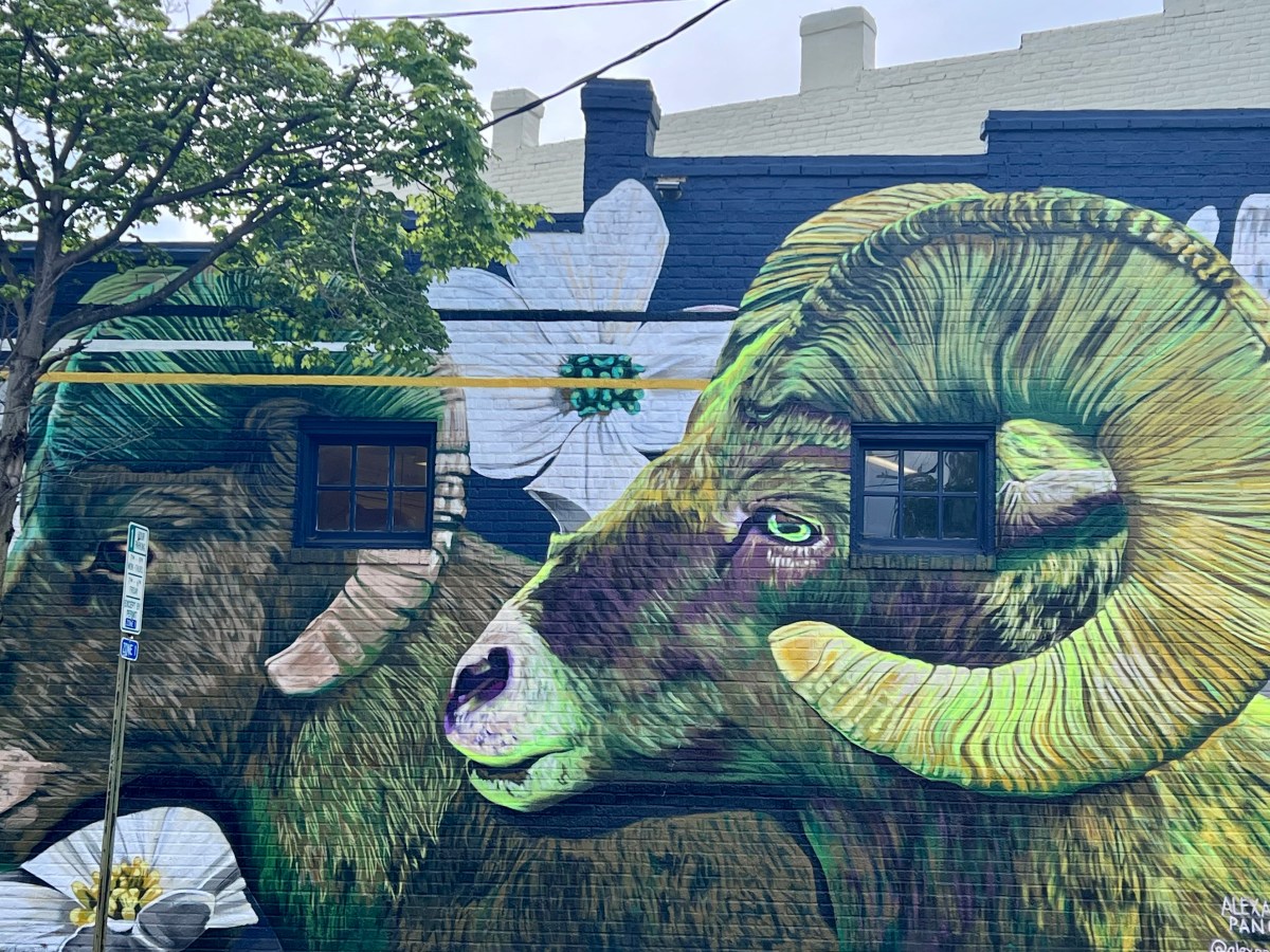 A Jury Summons from the Green Knight (Byran Harvey)