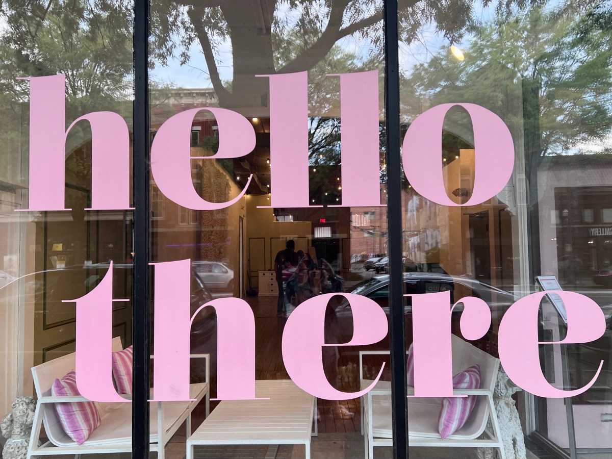 Dear Novel Introductions (Courtenay Schembri Gray)