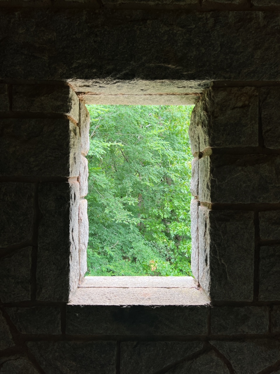 Safety Plan (Suzanne Richardson)