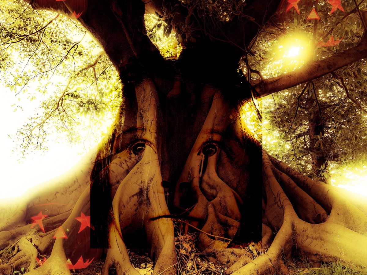 I nearly sign up for a free tutorial on how to market a book on social media by a writer who has sold 50,000 copies this way, until I realize she is a tik tok poet and I would rather throw away my phone than tick the clock (Reece Gritzmacher)