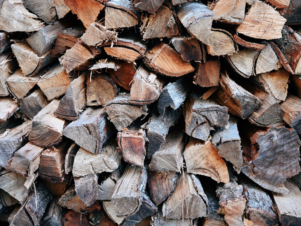 Sonnet Counting Days (Adam Spiegelman)