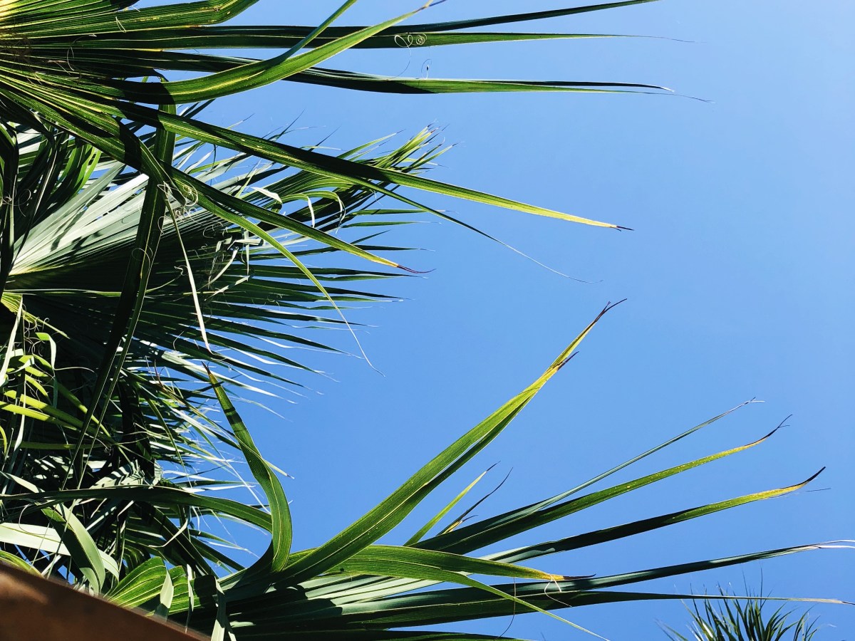 A List of Things to Talk About When You Get Back (Aubri Kaufman)