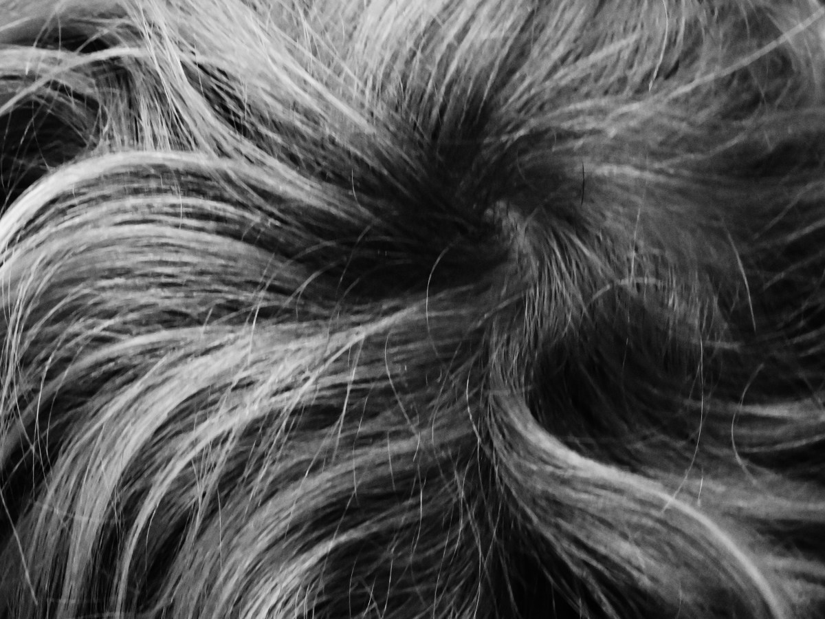 Under the Desk Is a Good Place to Hide (Elena Zhang)