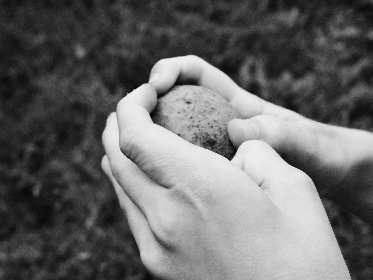 4 poems (Ana Carrete)