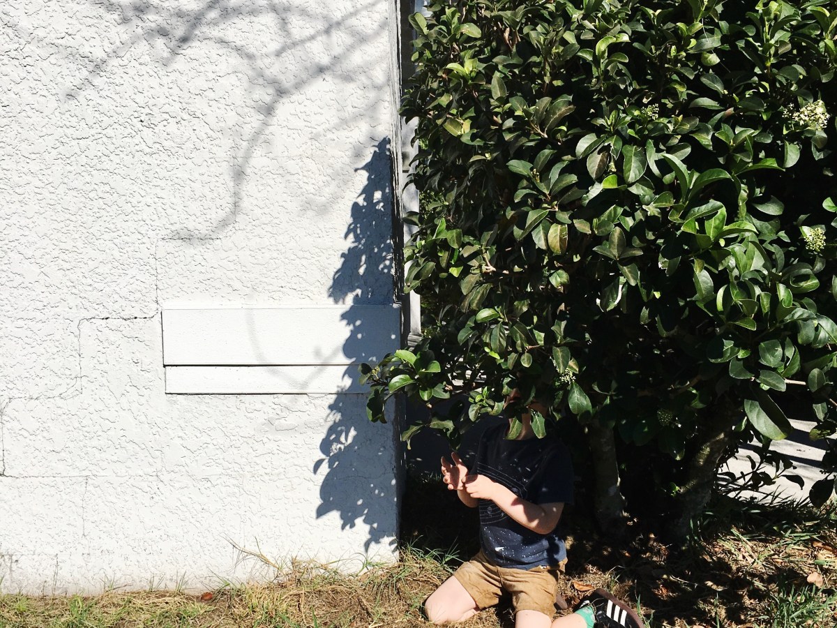 The Job of the Poet (Jordan Ranft)