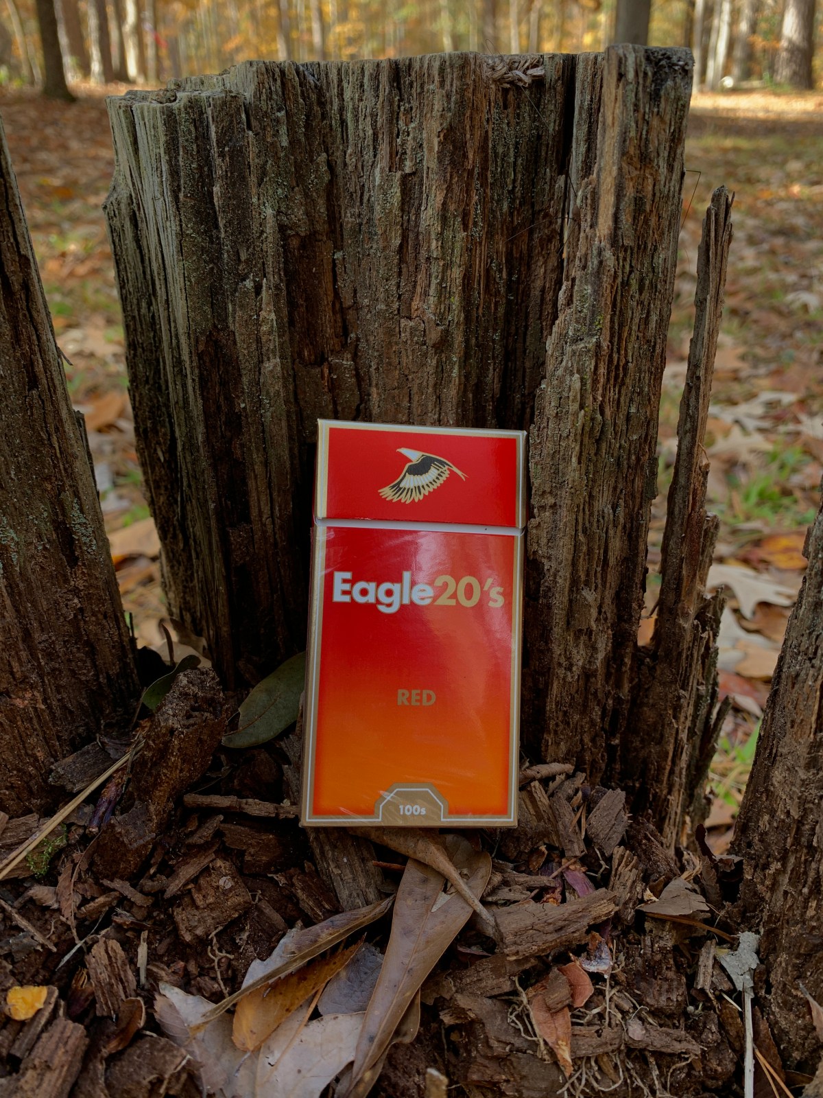 Quiet Love (David Williamson)