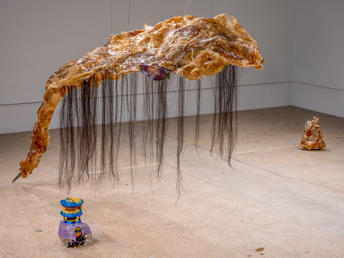 nts (John Janelle Backman)