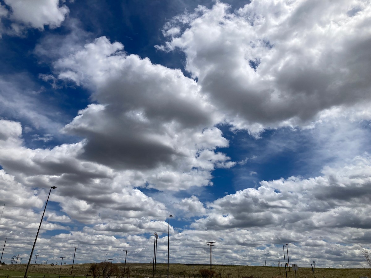 Gun Heaven (Ryan Bradford)