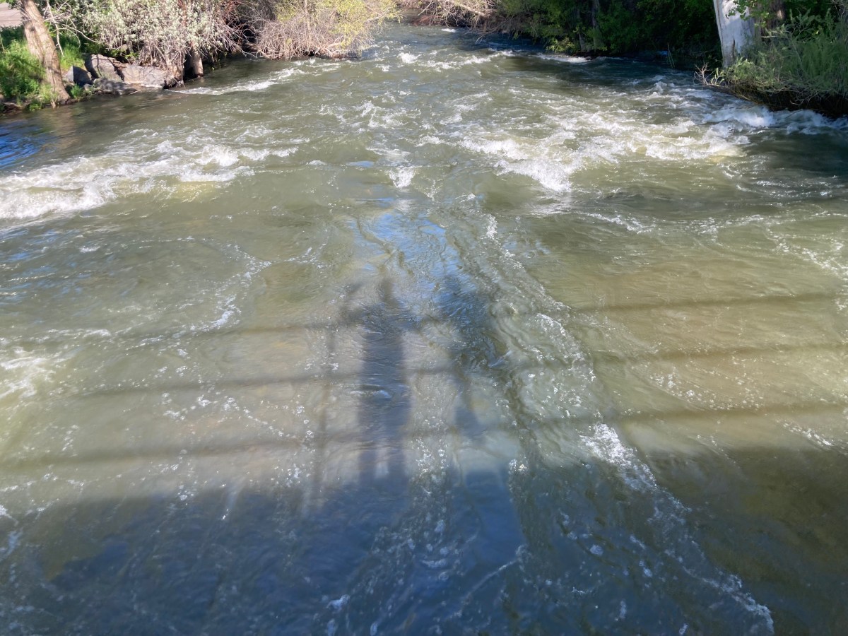 Open Up and Say Markowitz (Leo Vartorella)