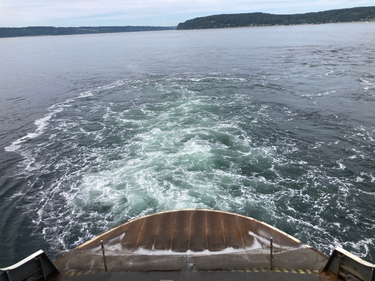 Truth & Answers & Beauty & Magic & An Idea (Aaron Burch)