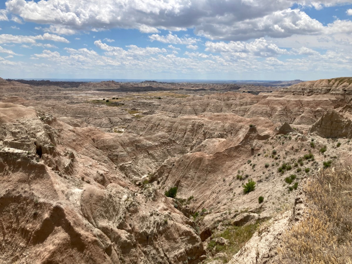 Guns, Sex, Phones (Katherine Schmidt)