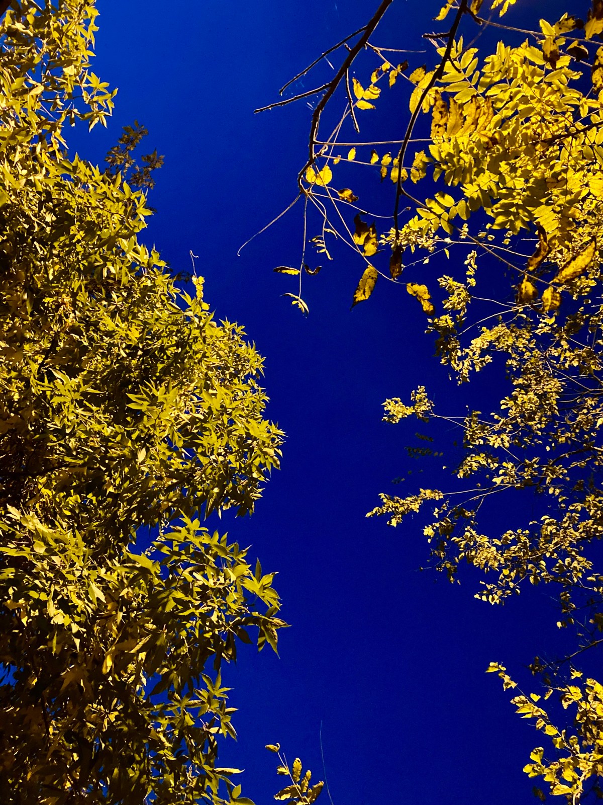 When I Meet God (Sam Berman)