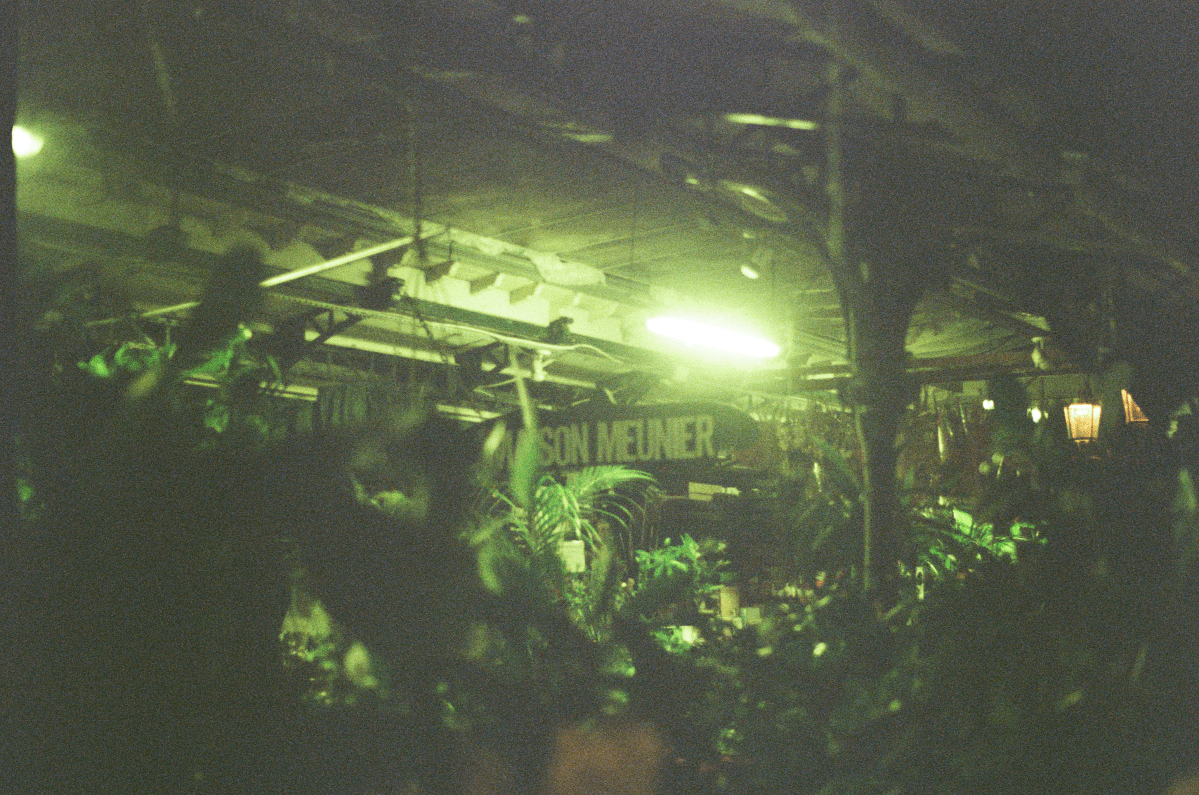 Our Last Game (Steve S. Saroff)